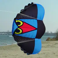 Image for the NPWx Power Kites category